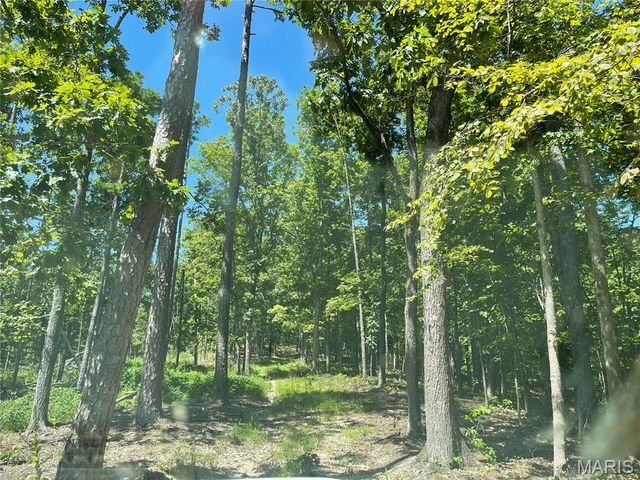 000 County Road 456, Piedmont, MO 63957