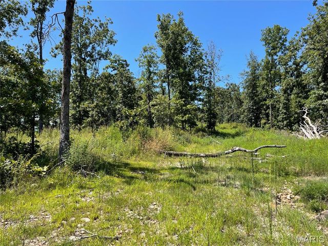 000 County Road 456, Piedmont, MO 63957