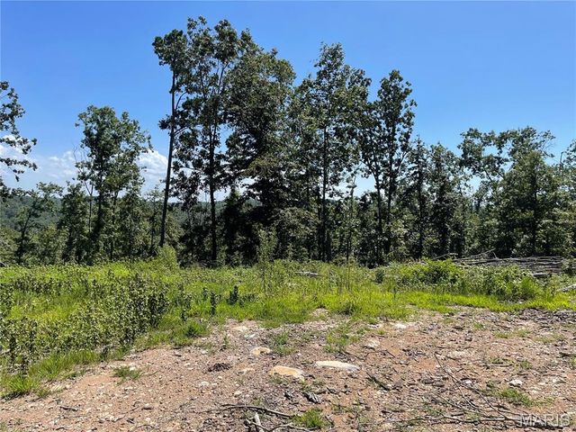 000 County Road 456, Piedmont, MO 63957