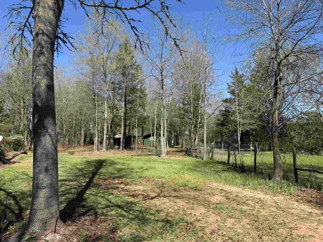 105 N Highway 59, Linden, TX 75563