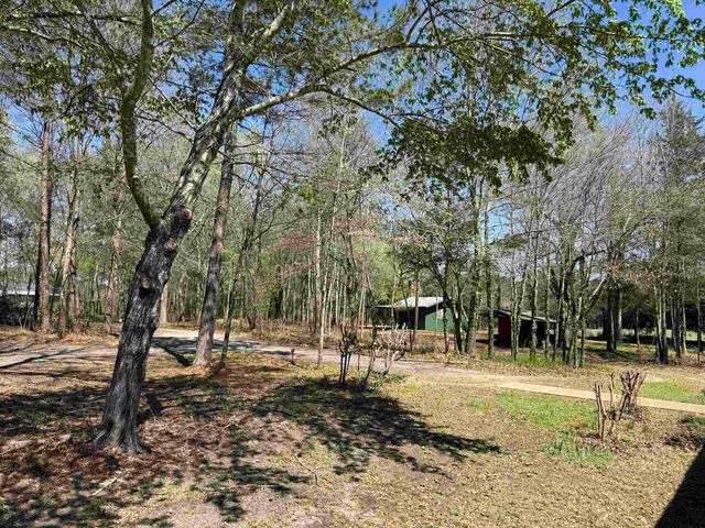 105 N Highway 59, Linden, TX 75563