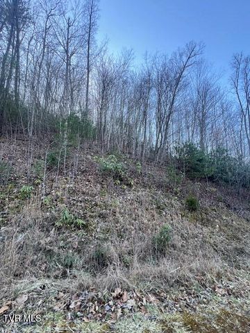 Tbd 2 Luttrell Street, Erwin, TN 37650