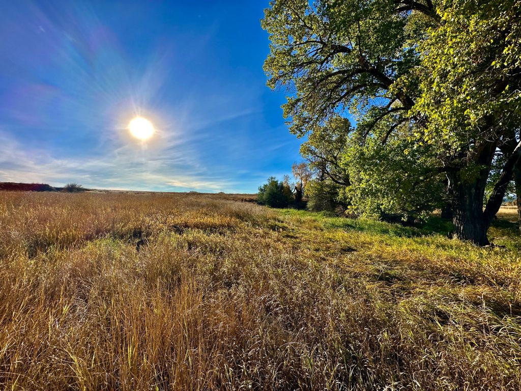 TBD Centennial Road, Columbus, MT 59019 photo 12