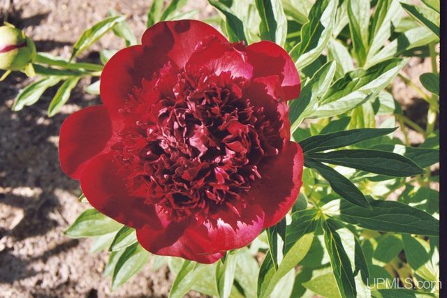 16100 Co Rd 510 Avenue, Marquette, MI 49855