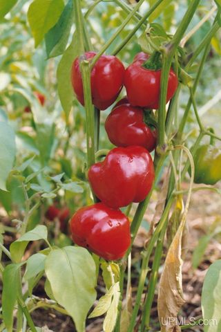 16100 Co Rd 510 Avenue, Marquette, MI 49855