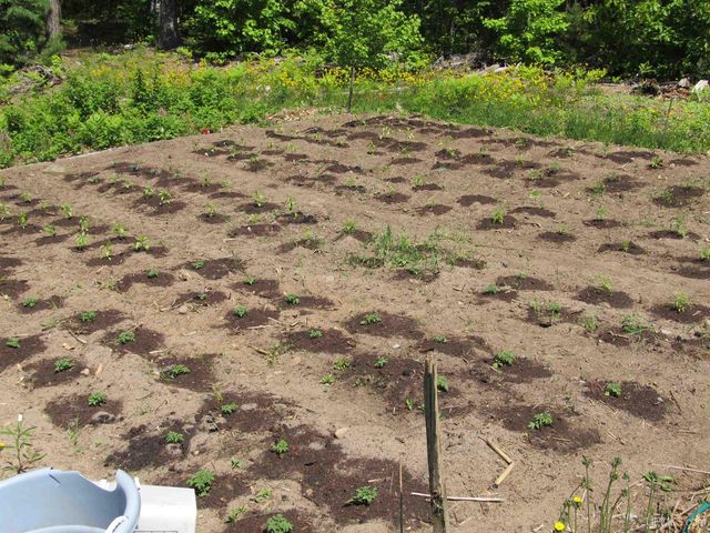 16100 Co Rd 510 Avenue, Marquette, MI 49855