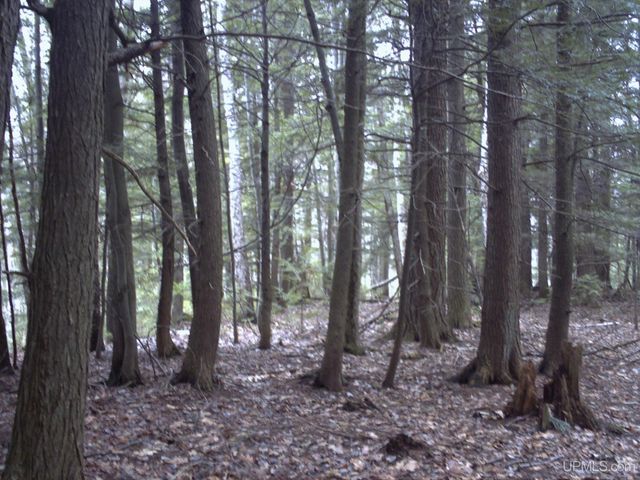 16100 Co Rd 510 Avenue, Marquette, MI 49855