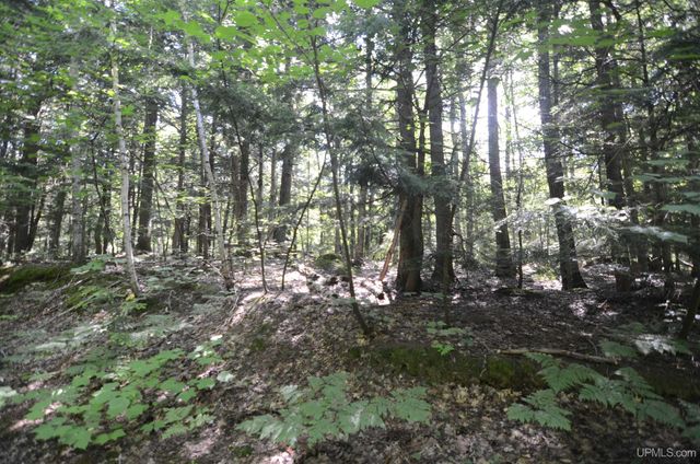 16100 Co Rd 510 Avenue, Marquette, MI 49855