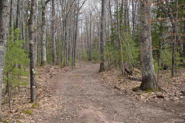 16100 Co Rd 510 Avenue, Marquette, MI 49855
