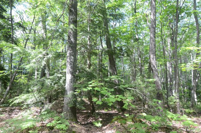 16100 Co Rd 510 Avenue, Marquette, MI 49855