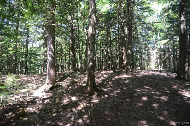 16100 Co Rd 510 Avenue, Marquette, MI 49855