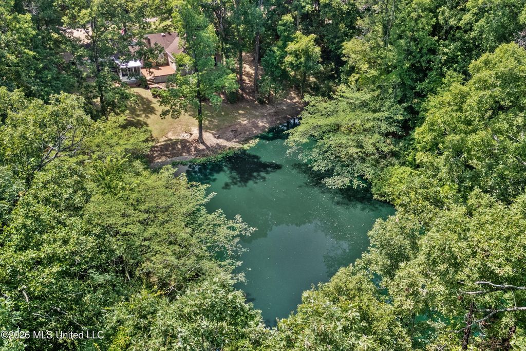 6090 Northwood Drive, Olive Branch, MS 38654 — photo 3