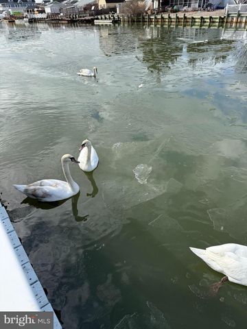 133 N ENSIGN DR, Little Egg Harbor Twp, NJ 08087