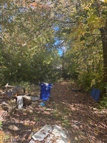 3037 E 125th Street, Cleveland, OH 44120