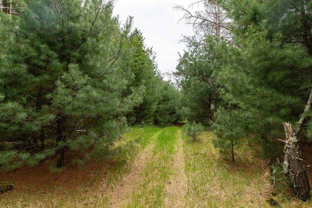 119 Duck Creek Avenue, Westfield, WI 53964