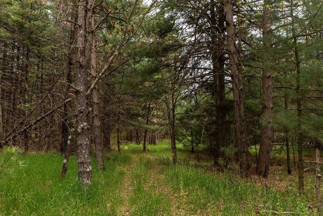 119 Duck Creek Avenue, Westfield, WI 53964