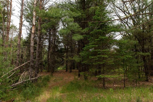 119 Duck Creek Avenue, Westfield, WI 53964