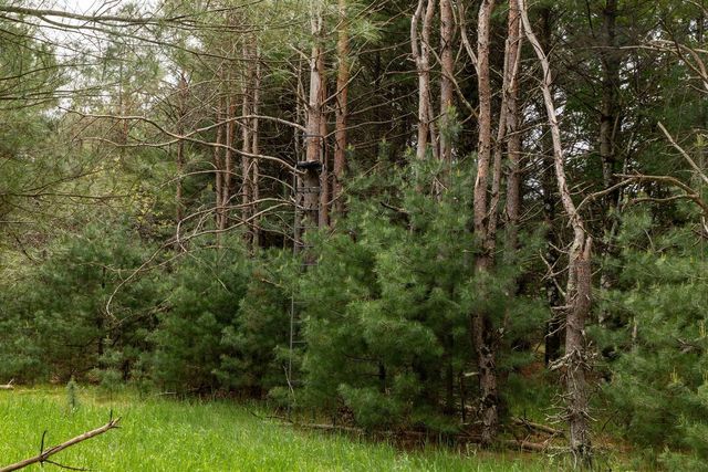 119 Duck Creek Avenue, Westfield, WI 53964