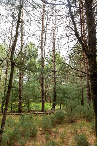 119 Duck Creek Avenue, Westfield, WI 53964
