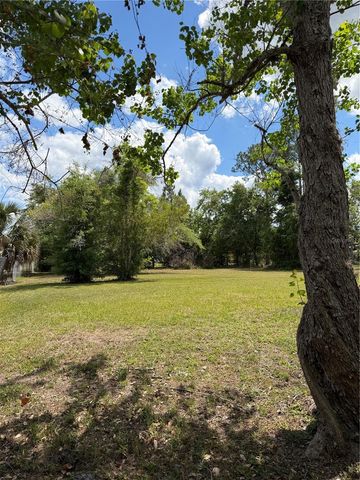 24138 PANTHER ROAD, Astor, FL 32102
