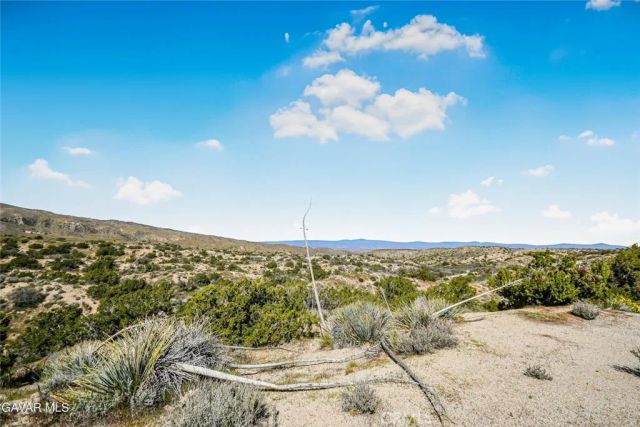 31720 96th Street East, Littlerock, CA 93543