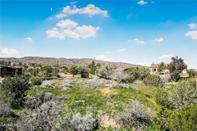 31720 96th Street East, Littlerock, CA 93543