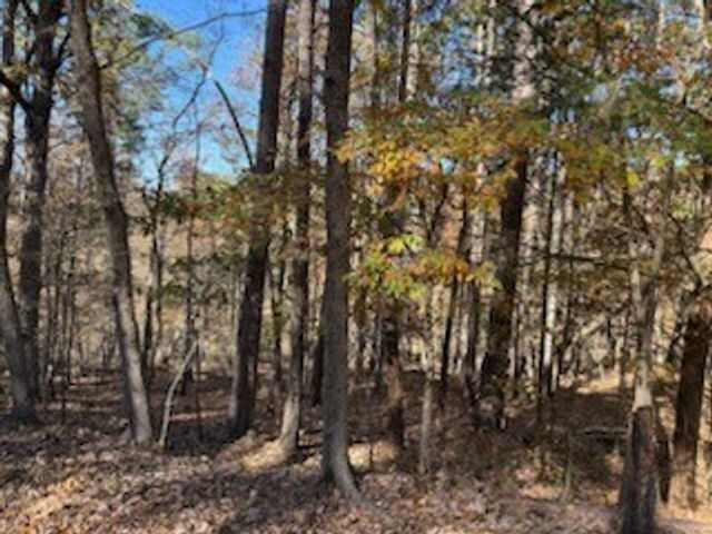 Lot 25 Leafield Lane, Bella Vista, AR 72714