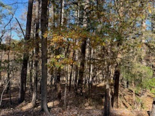 Lot 25 Leafield Lane, Bella Vista, AR 72714