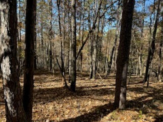 Lot 25 Leafield Lane, Bella Vista, AR 72714