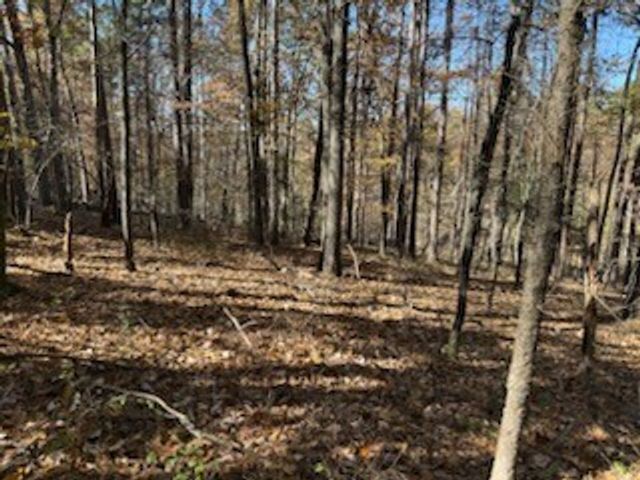 Lot 25 Leafield Lane, Bella Vista, AR 72714