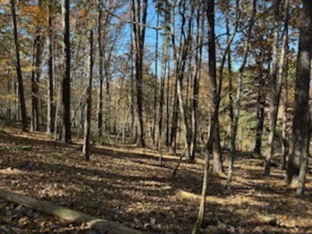 Lot 25 Leafield Lane, Bella Vista, AR 72714