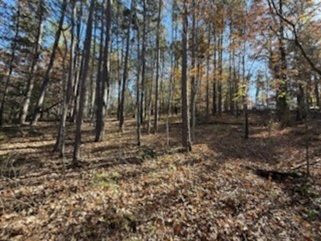 Lot 25 Leafield Lane, Bella Vista, AR 72714