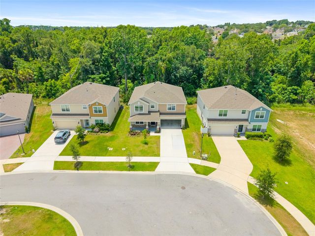 1137 BRADFORD RIDGE DRIVE, Leesburg, FL 34748