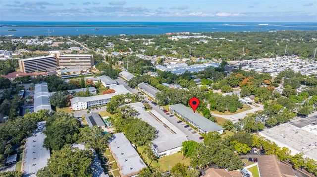 100 GLENNES LANE 207, Dunedin, FL 34698