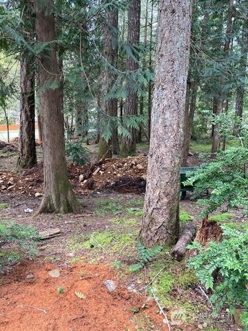 101 N Mt. Jupiter Drive, Hoodsport, WA 98548