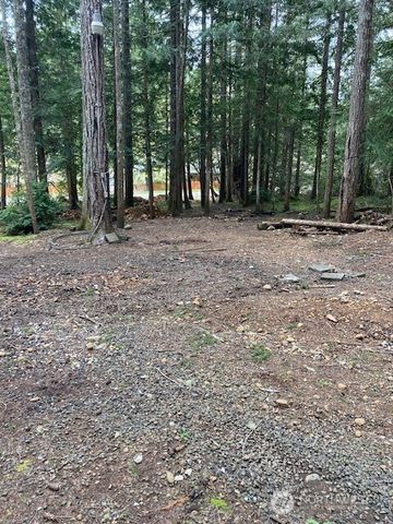 101 N Mt. Jupiter Drive, Hoodsport, WA 98548