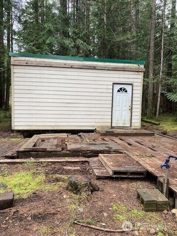 101 N Mt. Jupiter Drive, Hoodsport, WA 98548