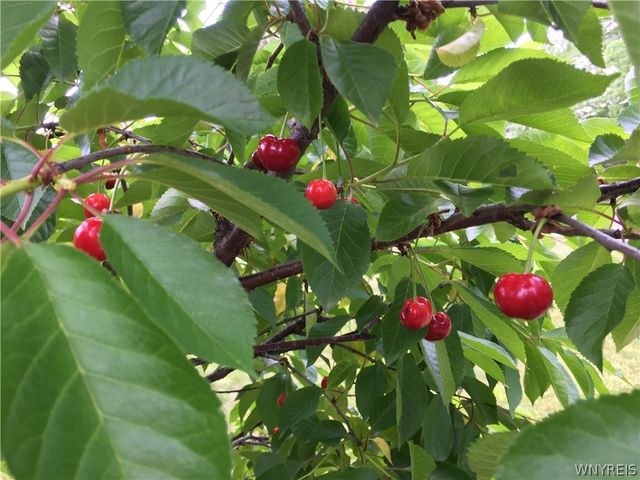 3249 Lockport Olcott Road, Newfane, NY 14108