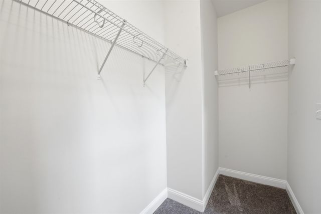 116 Violet Way, Loris, SC 29569