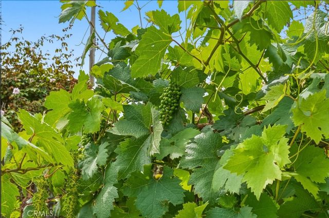 221 S Gilbert, Anaheim, CA 92804