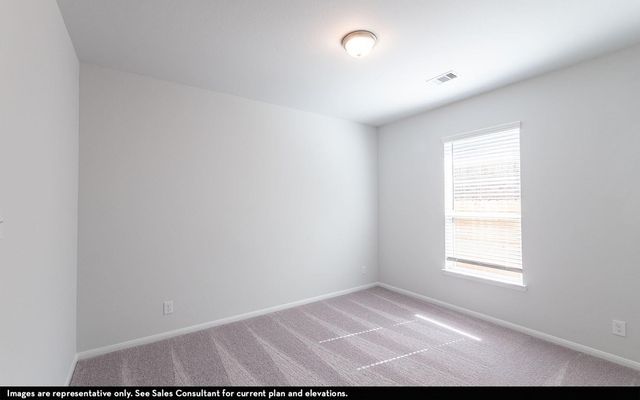 30911 Peck Pass Drive, Waller, TX 77484