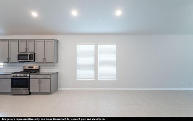 30911 Peck Pass Drive, Waller, TX 77484