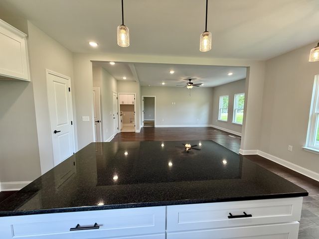 65 Misty Ln, Castalian Springs, TN 37031