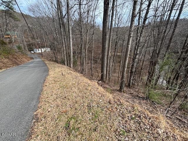 444 Sky View, Sevierville, TN 37876