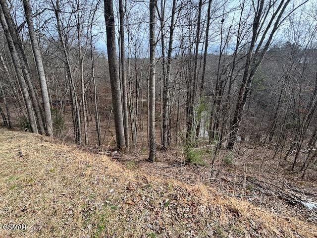 444 Sky View, Sevierville, TN 37876