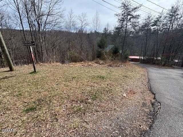 444 Sky View, Sevierville, TN 37876