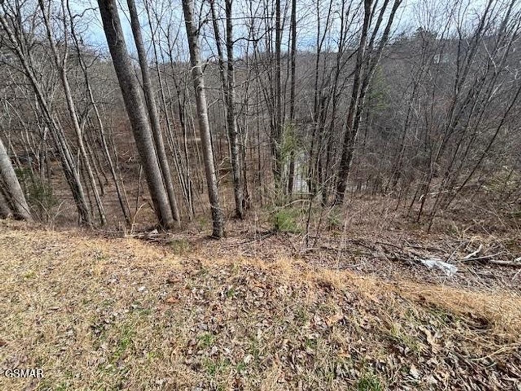 444 Sky View, Sevierville, TN 37876