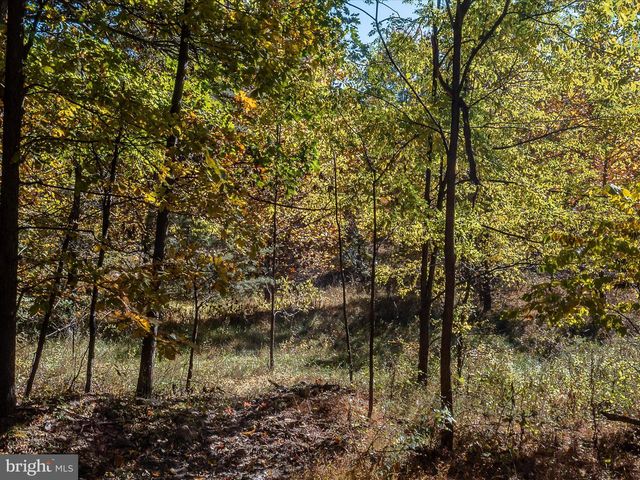 TUSCARORA PIKE PARCEL 13 & 14, Martinsburg, WV 25403