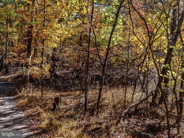 TUSCARORA PIKE PARCEL 13 & 14, Martinsburg, WV 25403