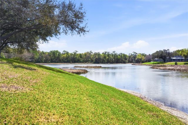 19112 WHITE WING PLACE, Tampa, FL 33647